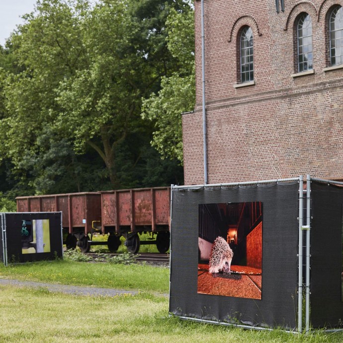 Zaunelemente mit Tierfotografien auf dem Gelände der Zeche Hannover. (vergrößerte Bildansicht wird geöffnet)