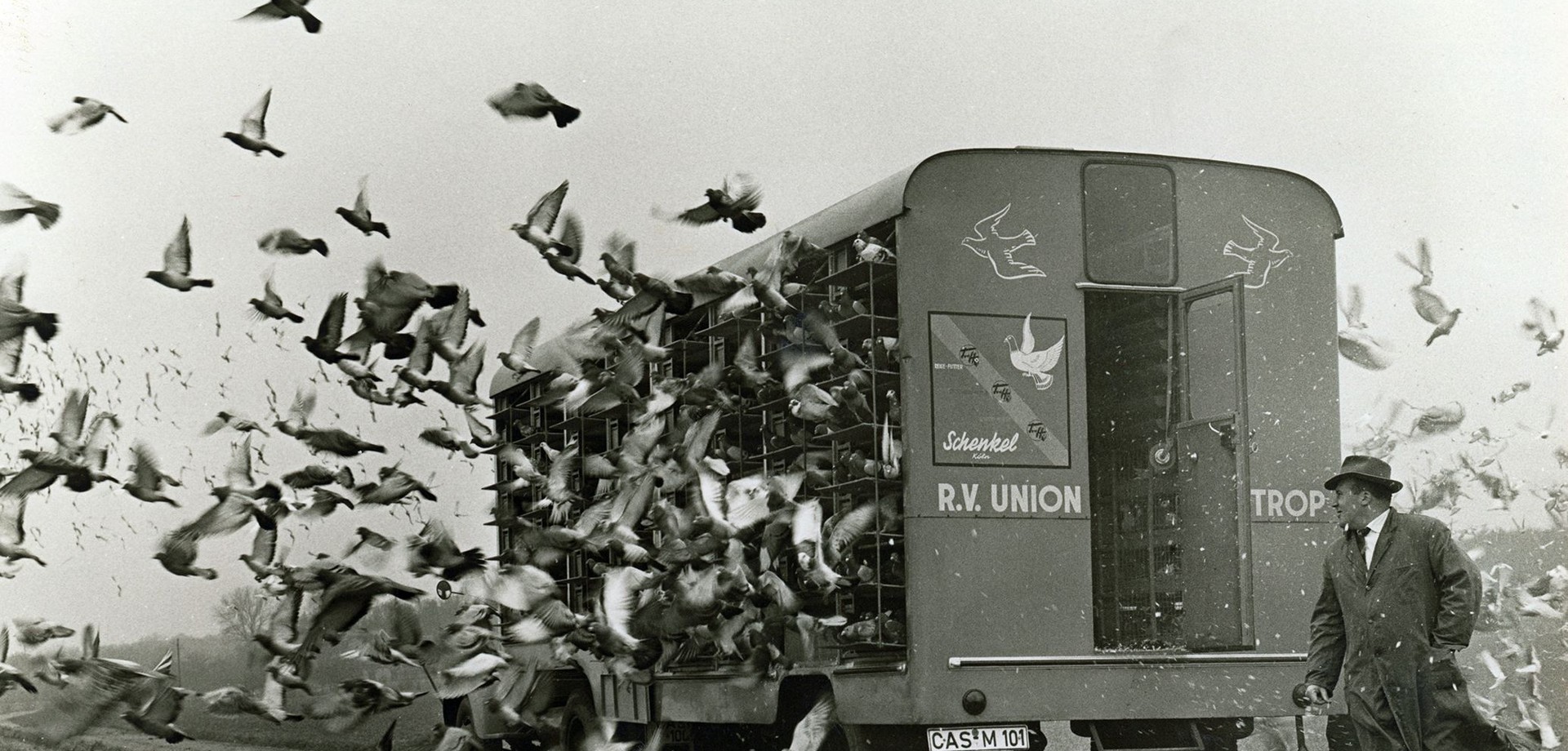 Schwarz-Weiß-Foto vom Taubenauflass aus einem Transporter der Reisevereinigung Union Castrop aus den 1970er Jahren. Foto: Helmut Orwat