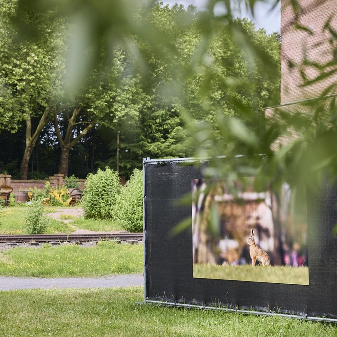 Zaunelement mit einer Tierfotografie auf dem Gelände der Zeche Hannover. (vergrößerte Bildansicht wird geöffnet)