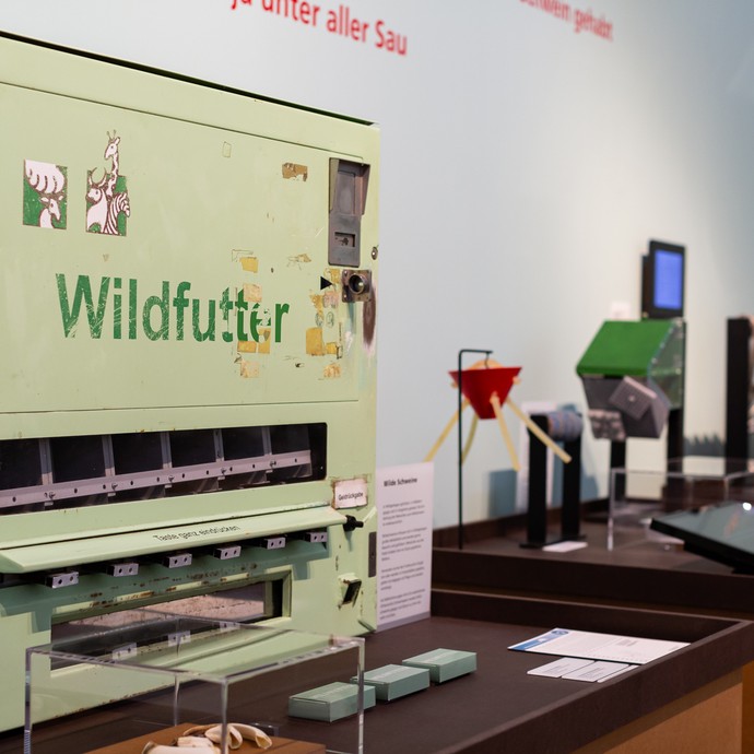 Automat zum Ziehen von Futter für Wildschweine aus einem Wildgehege. (öffnet vergrößerte Bildansicht)