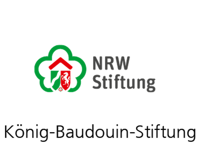 Logo König-Baudouin-Stiftung