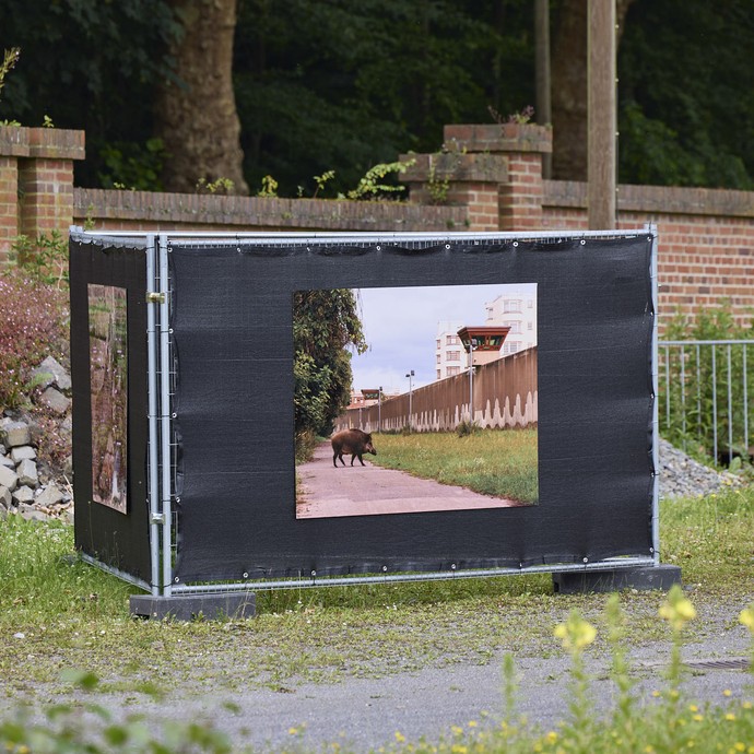 Zaunelement mit einer Tierfotografie auf dem Gelände der Zeche Hannover. (vergrößerte Bildansicht wird geöffnet)