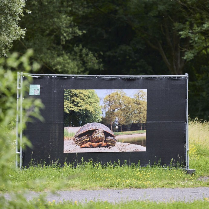 Zaunelement mit einem Tierfoto auf dem Gelände der Zeche Hannover. (vergrößerte Bildansicht wird geöffnet)